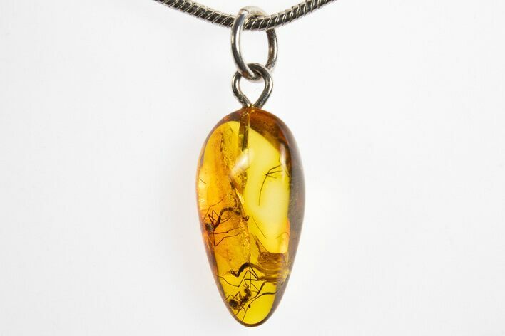 Polished Baltic Amber Pendant (Necklace) - Contains Ant & Flies! #328469
